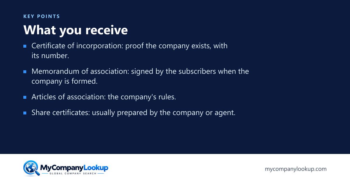 What you receive: key points